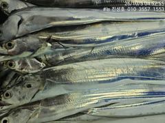 18분전 [거제] 거제 뉴 진성호 10월 5일 야간 칼치 아침 조항입니다