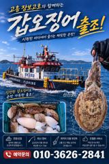 [고흥,녹동] 녹동돌문어 바람은 불어도 호조황~