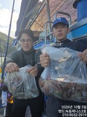 녹동항 녹동제니스3호 돌문어 조황 사진