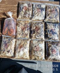 [사천] 삼천포 아수라피싱 주꾸미 조황