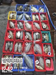 [팁런]1.3k k 완전무시급들 ,마리수로(화요일,소수인원,출항확정)