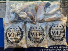오천항 VIP호 주꾸미 조황 사진