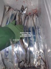 내만갈치)은빛이 더욱더 빛납니다~3지가 와다닥~예약가능