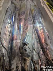 4지.5지들 잘나오네요