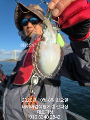 비응항 홈런호 주꾸미 조황 사진