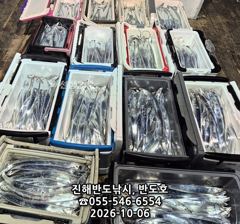 [진해] 6일,내만갈치,담뱃갑 사이즈에 쿨러 빵빵하게,엄청 나옵니다,오늘…