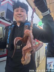 돌문어 출조합니다 (9일,10일 출조확정 모집중 ~)