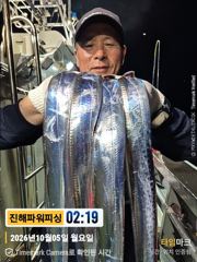 준내만[갈치/텐빈]5일입항 쿨러조황~수요일부터 달려봅니다[수.일]예약가능