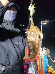 목포신세계갈치낚시 갑오징어 조황 사진