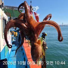 초양항 유신호 돌문어 조황 사진