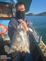 팔포항 3대한호 주꾸미 조황 사진