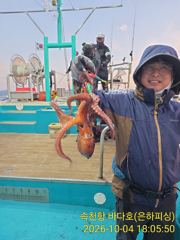 속천항 구선장의바다호 돌문어 조황 사진