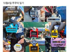 대천항봉선장 주꾸미 조황 사진