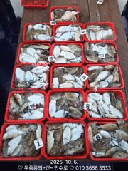만수로호~갑이~찰박이~쾅쾅쾅
