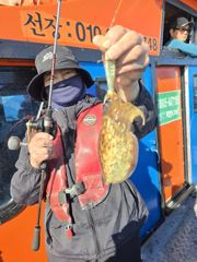 영흥도 진두항 영동2호 갑오징어 · 주꾸미 조황 사진