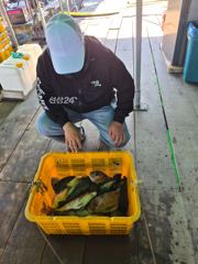 도비도항 도비도 낚시타운 조황 사진