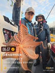 녹동항 하비킹호 돌문어 240마리 조황 사진
