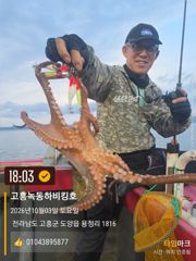 녹동항 하비킹호 돌문어 조황 사진