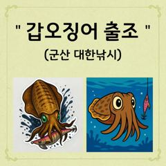 비응항 대한낚시 갑오징어 조황 사진