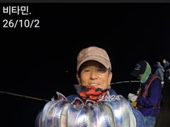 ●먼바다갈치(외줄) ● 갈치 텐빈 & 한치 토, 일~ 예약가능