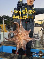 [사천] 삼천포 마린보이 10. 8. 목요일 부터 가을 덩치문어 주/야간…