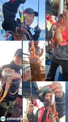 돌문어 출조 10.6조황과 목 금 토 일 출조안내