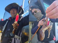 삼천포항 펄스호 주꾸미 조황 사진