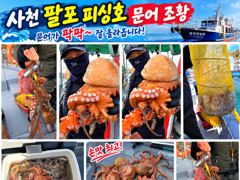 삼천포항 팔포피싱호 돌문어 조황 사진