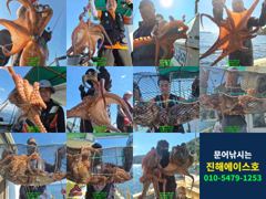 명동항 진해에이스호 돌문어 조황 사진