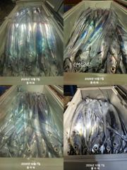 [여수플라워호] 7일 갈치 조황~ 010-2004-5524
