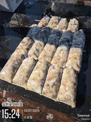 팔포항 와따호 주꾸미 조황 사진