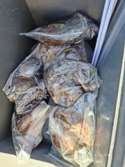 남당항 거북선호 주꾸미 조황 사진