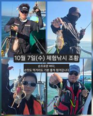 장고항 피닉스피싱호 주꾸미 조황 사진