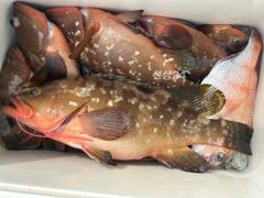10일 붉바리 외수질 출조 안내