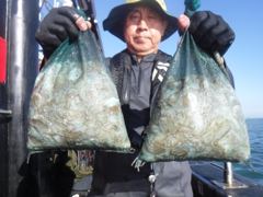 10월7일 조황