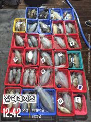 [팁런] k,k,완전무시급들,마리수(목,금,출항확정,자리여유)