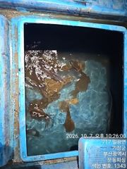 문동Fishing 무늬오징어 조황 사진