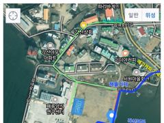 진도항 하나호 무늬오징어 조황 사진