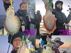 레인보우호 갑오징어 실시간(8일)-오후 쭈갑 자리 있습니다★☆