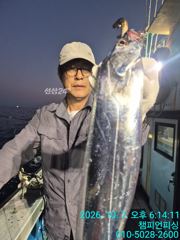 주문진항 챔피언호 조황 사진