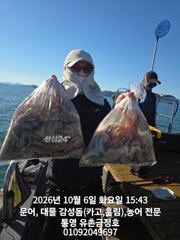 통영 금정호 대물문어낚시 토, 일 정상출항합니다 자리 여유있습니…