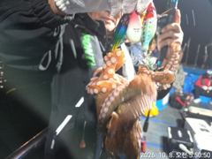 8일, 군산 왕문어 ~싸이즈 굿~덩치급 왕문어들~오늘도 굿~실시간~군산낚시프라자 임마누엘호