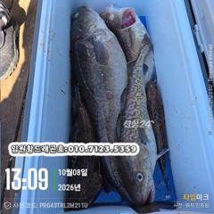 드래곤호임원항 대구 조황 사진