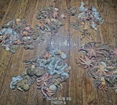 1   [진해] 문어(한가득) 3연타~6연타OK~K키로오버까지~강민호 (10일 … 1