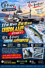 국동항 용주피싱 방어 조황 사진