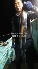 영운항 최강리드호 갈치 · 돌문어 조황 사진