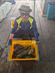 도비도항 도비도 낚시타운 조황 사진