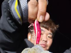 솔섬항 섬바다호 대구 조황 사진