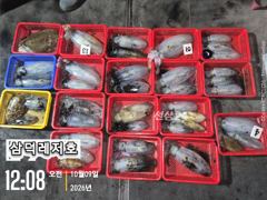 당포항 삼덕레저호 조황 사진