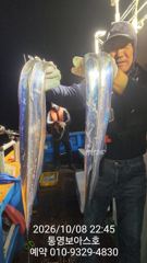 인평 대체 부두 보아스호 조황 사진